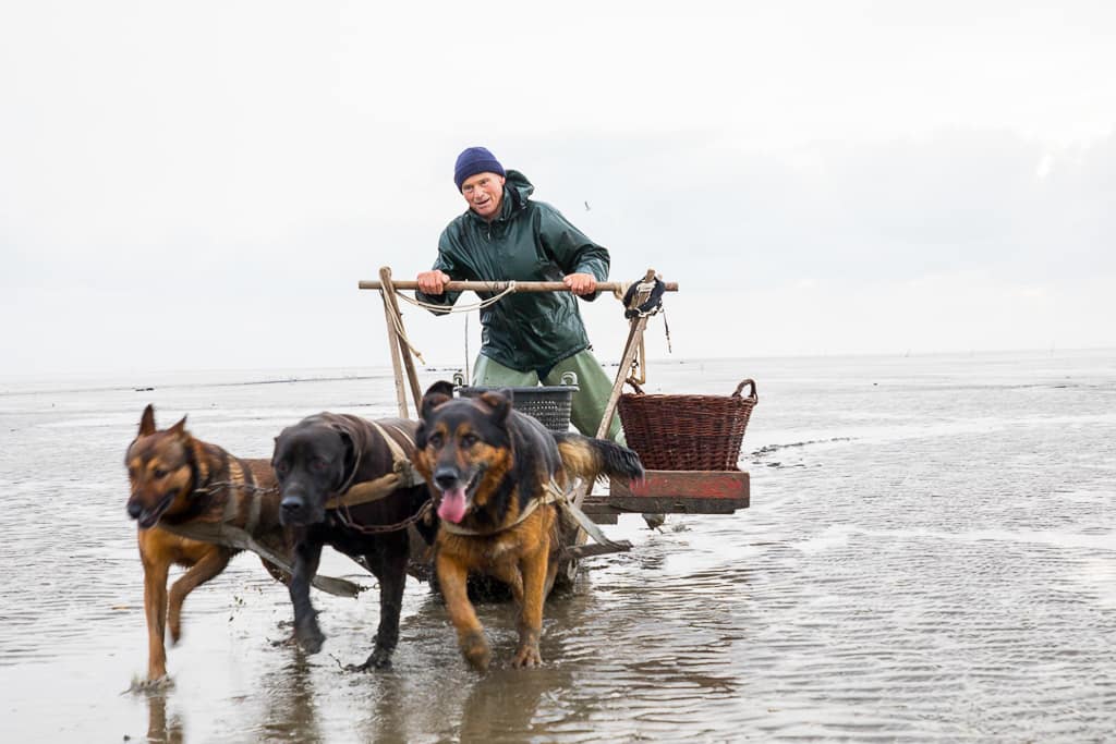 Unterwegs für das Burda Magazin mein schönes Land