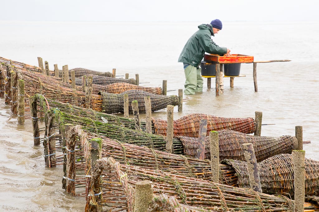 Magazin Fotografie für den Burda Verlag - Porträt eines Krabbenfischers in der Nordsee